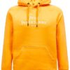Felpa con Cappuccio Uomo Peak Performance Lifestyle